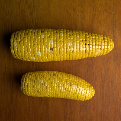 Corn (Maize) preview image
